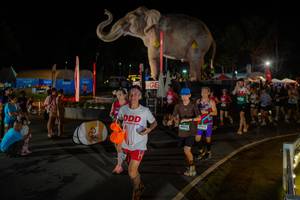 BIB: 
                            <button type="button" onclick="openModal(26552318)" class="btn btn-primary btn-sm float-right btn-popup" data-toggle="modal" data-target=".modal-high-quality">
                        <i class="fas fa-shopping-cart"></i> Add to Cart
                    </button>
                                            <button type="button" onclick="isThisMe(26552318, true)" class="btn btn-success btn-sm float-right btn-popup btn-isme hidden" data-toggle="tooltip" data-placement="bottom" title="นี่คือรูปของคุณใช่ไหม คลิกที่นี่เพื่อเอาเข้าอัลบั้ม">
                        <i class="fas fa-plus"></i> Add to album
                    </button>
                    <button type="button" onclick="isThisMe(26552318, false)" class="btn btn-warning btn-sm float-right btn-popup btn-isnotme hidden">
                        <i class="fas fa-ban"></i> Remove from album
                    </button>